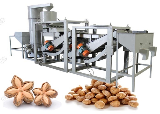 China Sacha Inchi Nut Shelling Machine totalmente automático que decortica 200 - capacidade 300kg/H fornecedor