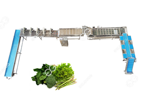 China O CE certificou a linha de lavagem automática de aço inoxidável fábrica de tratamento vegetal do legume com folhas fornecedor
