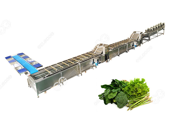 China O CE certificou a linha vegetal comercial de aço inoxidável fábrica de tratamento vegetal da lavagem da arruela fornecedor
