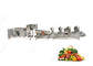 o CE 380V certificou a linha de processamento comercial de aço inoxidável da lavagem das frutas e legumes fornecedor