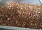 Porca de caju de secagem Shell da avelã que quebra a máquina para a indústria, 500 Kg/H fornecedor