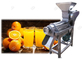 Suco de laranja fresco que espreme a máquina, máquina personalizada do extrator do suco de limão fornecedor