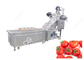 Os tomates industriais da máquina de lavar da bolha do fruto salpicam a arruela da bolha para frutas e legumes fornecedor