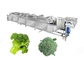 Linha de produção de limpeza de lavagem vegetal congelada industrial da couve-flor dos brócolis fornecedor