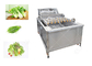 Equipamento de processamento das frutas e legumes da máquina de lavar das hortaliças sem Damanage fornecedor