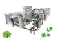Equipamento de processamento das frutas e legumes da máquina de lavar das hortaliças sem Damanage fornecedor