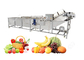 Linha de produção completa automática do suco de fruto para o padrão do CE de Commerical fornecedor
