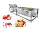 Equipamento de processamento de lavagem das frutas e legumes automáticas da arruela das frutas e legumes fornecedor