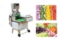 Máquina de corte vegetal Multifunction 0-60 milímetros com conversão de frequência dobro fornecedor