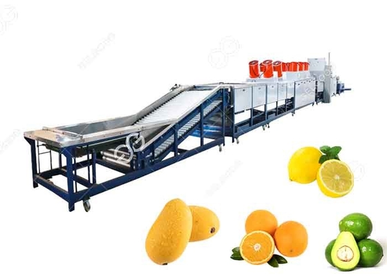 Limpeza de enceramento de lavagem alaranjada do fruto da máquina da secagem e de classificação e o enceramento da máquina fornecedor
