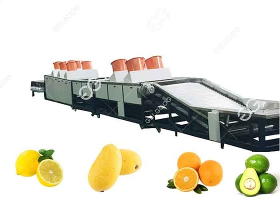 Limpeza de enceramento de lavagem alaranjada do fruto da máquina da secagem e de classificação e o enceramento da máquina fornecedor
