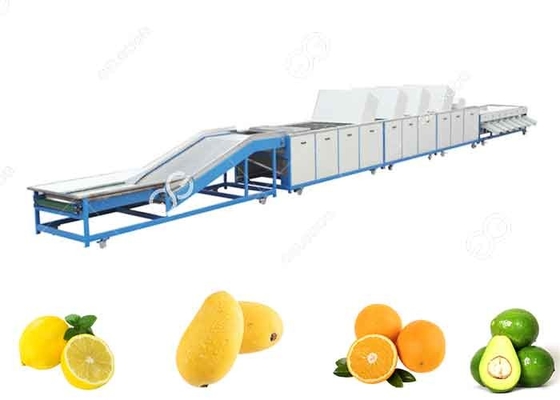 Limpeza de enceramento de lavagem alaranjada do fruto da máquina da secagem e de classificação e o enceramento da máquina fornecedor