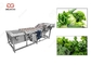 Máquina de lavar das folhas do verde da máquina de lavar do legume 300-5000KG/H com folhas fornecedor