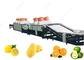 linha de lavagem da lavagem do fruto do equipamento do fruto 1t/H-5t/H para vendas de exportação do fruto fornecedor