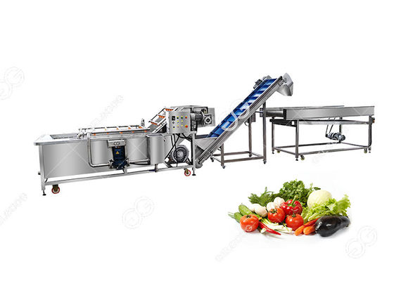 o CE 380V certificou a linha de processamento comercial de aço inoxidável da lavagem das frutas e legumes