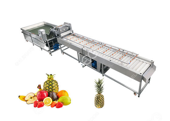 Trasformação de frutos de limpeza Equipment2T/H da máquina do grande abacaxi da saída